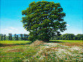 Painting: Lone Tree